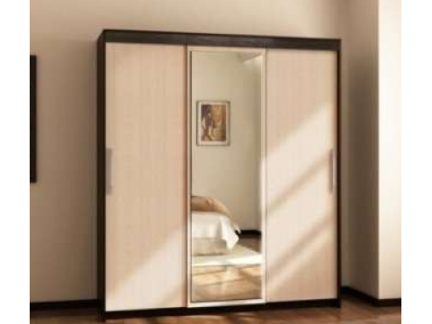 Шкаф-купе арт 012 (1720 мм) МР