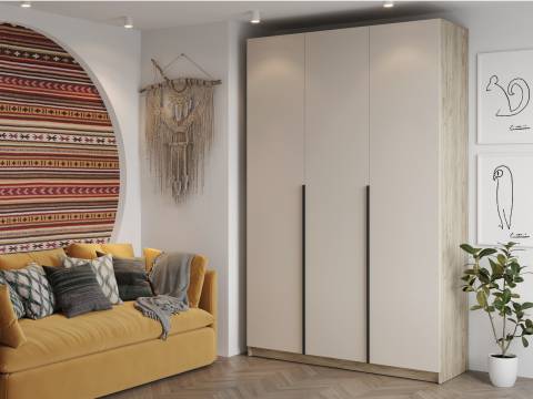 Шкаф ШК-004 комбинированный трехстворчатый Бохо