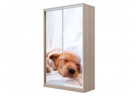 Шкаф-купе Хит 23-12-77 фотопечать 24