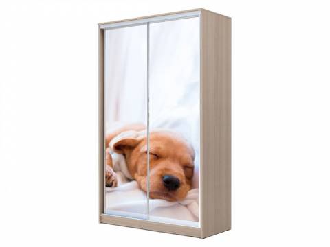 Шкаф-купе Хит 23-15-77 фото 24