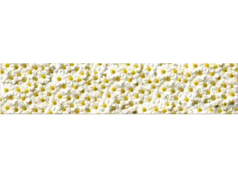 Фартук с фотопечатью Ромашки SP019