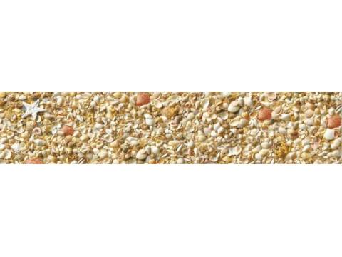 Фартук с фотопечатью Ракушки SP020