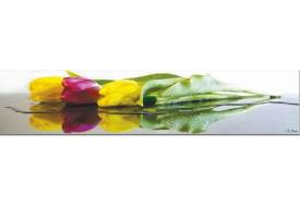 Фартук с фотопечатью Тюльпаны SP029