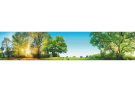 Фартук с фотопечатью Лес SP212