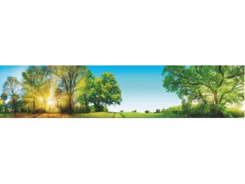 Фартук с фотопечатью Лес SP212